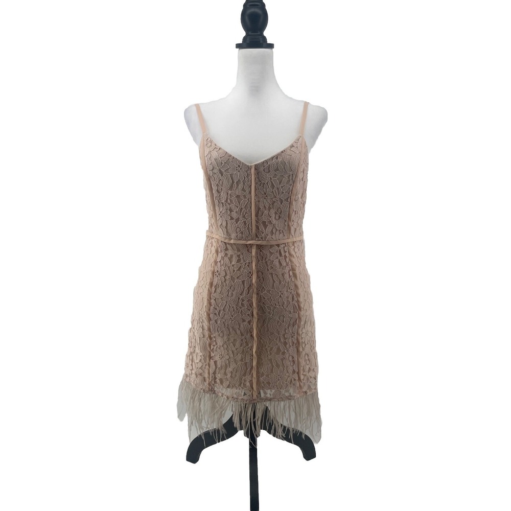 Elegant Lace Giani Bini Tan Dress